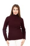 TOP TEN Slim Fit Long Sleeve Minimalist Turtleneck for Casual & Office Wear