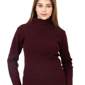 TOP TEN Slim Fit Long Sleeve Minimalist Turtleneck for Casual & Office Wear