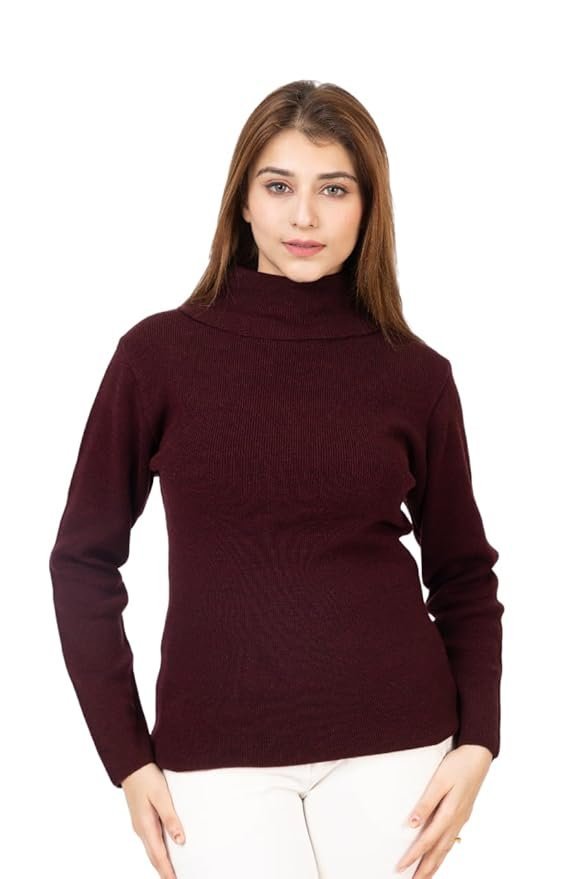TOP TEN Slim Fit Long Sleeve Minimalist Turtleneck for Casual & Office Wear