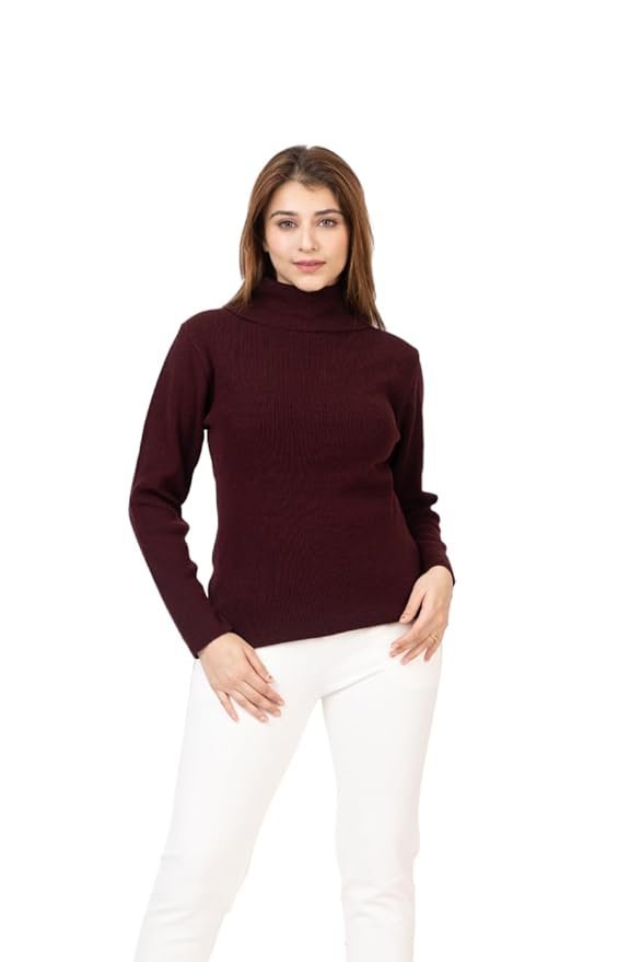 TOP TEN Slim Fit Long Sleeve Minimalist Turtleneck for Casual & Office Wear