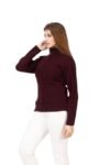 TOP TEN Slim Fit Long Sleeve Minimalist Turtleneck for Casual & Office Wear