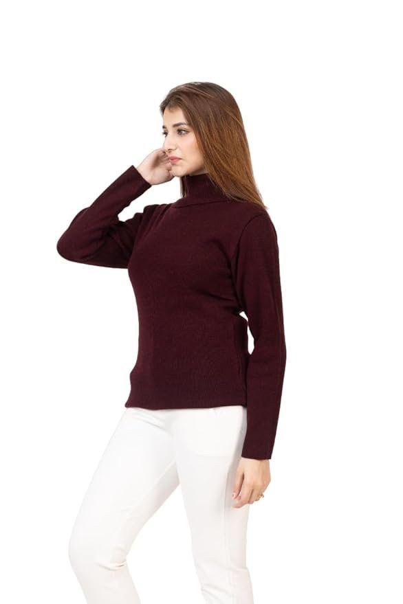 TOP TEN Slim Fit Long Sleeve Minimalist Turtleneck for Casual & Office Wear